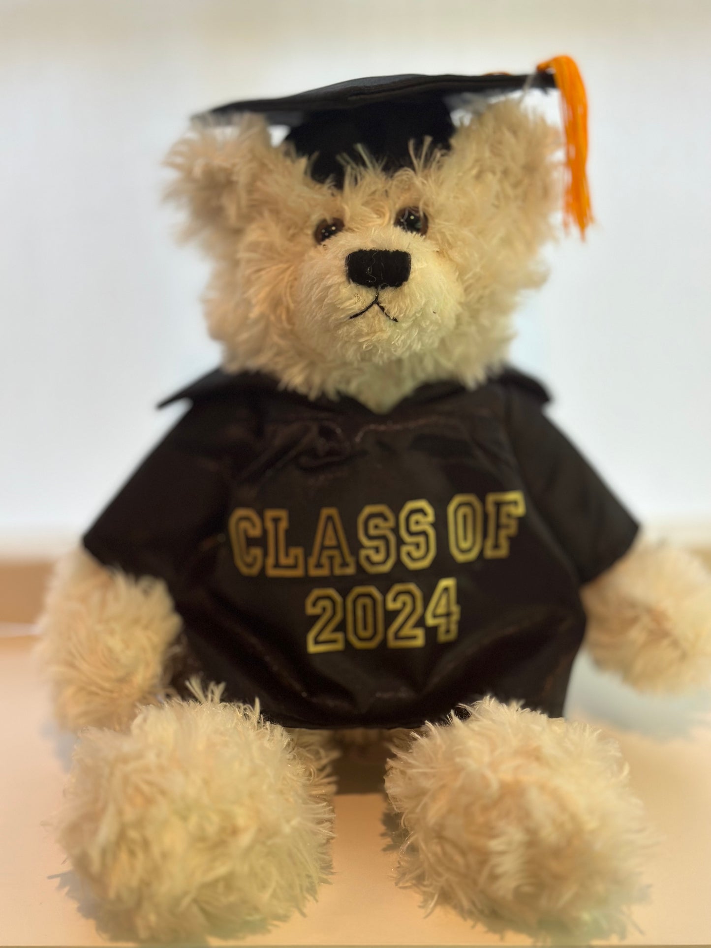 Graduation bear